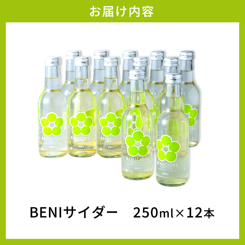 炭酸 BENIサイダー 12本 セット 炭酸飲料 飲料 梅サイダー サイダー 紅映 梅 うめ ウメ 福井県 福井