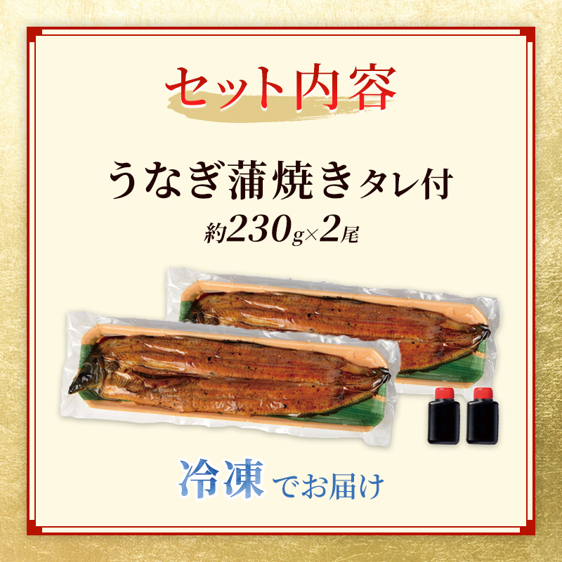 国産うなぎ 特大蒲焼き 約230g前後 2尾 職人手焼き ギフトにも