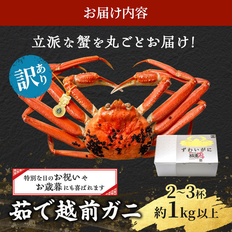 訳あり 期間限定 茹で 越前ガニ 約1kg以上 2～3杯  食通もうなる本場の味をご堪能ください 脚折れ ズワイガニ 海鮮 福井県 若狭町