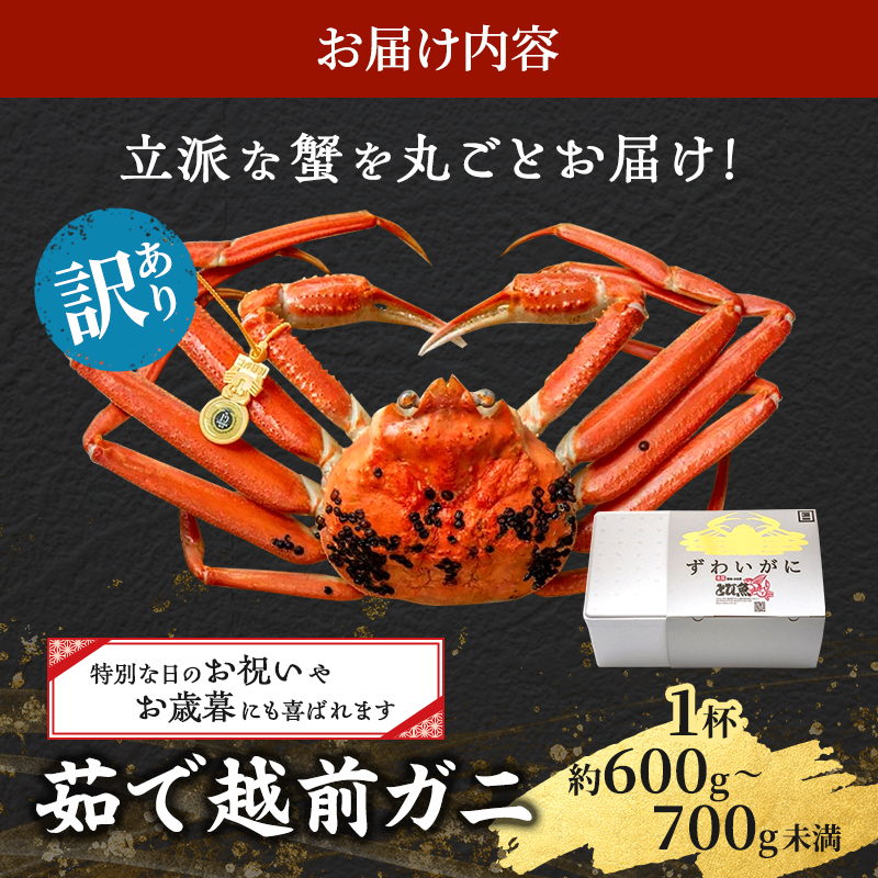 訳あり 茹で 越前ガニ 約600g～700g未満 1杯 年末配送 食通もうなる本場の味をぜひ、ご堪能ください 越前かに 蟹 カニ かに ボイルカニ ボイル蟹 ポーション ズワイガニ 海鮮 脚折れ 訳アリ 福井 福井県 若狭町