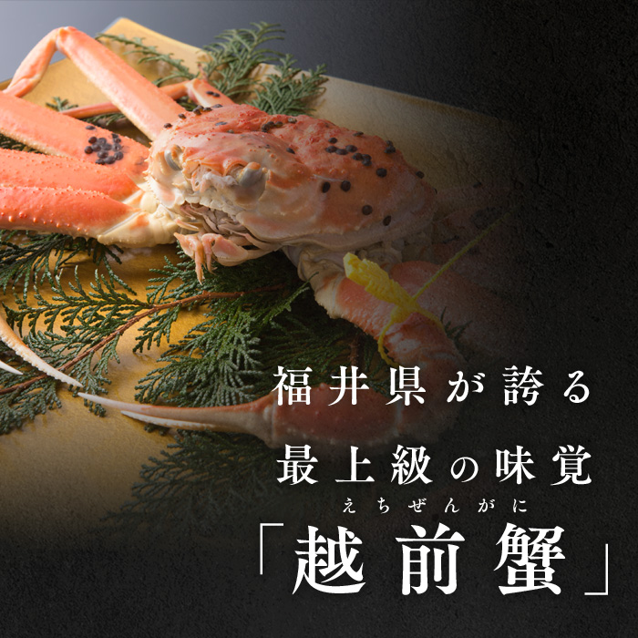 訳あり茹で越前ガニ 500g以上×2杯(脚折れ) カニ ズワイガニ ボイル 福井県