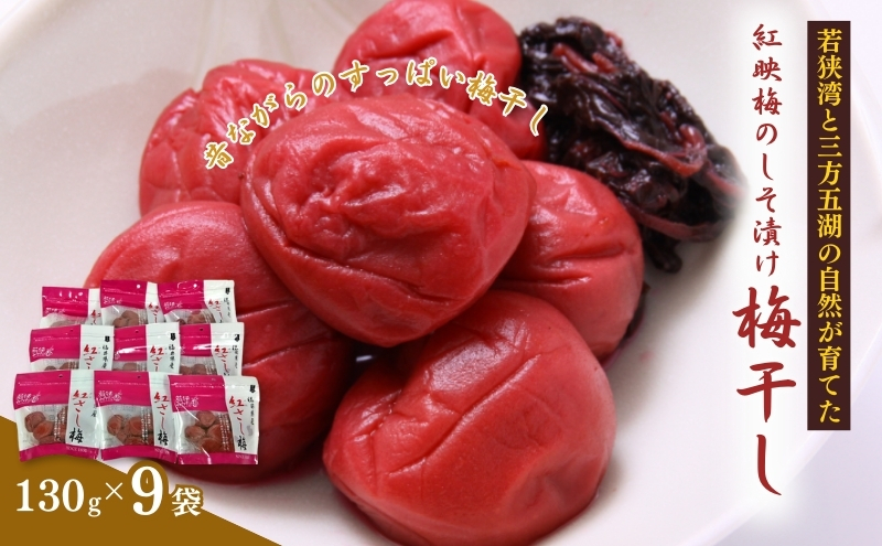 紅映梅のしそ漬け 梅干し　9袋（すっぱい 甘くない 梅干し） 