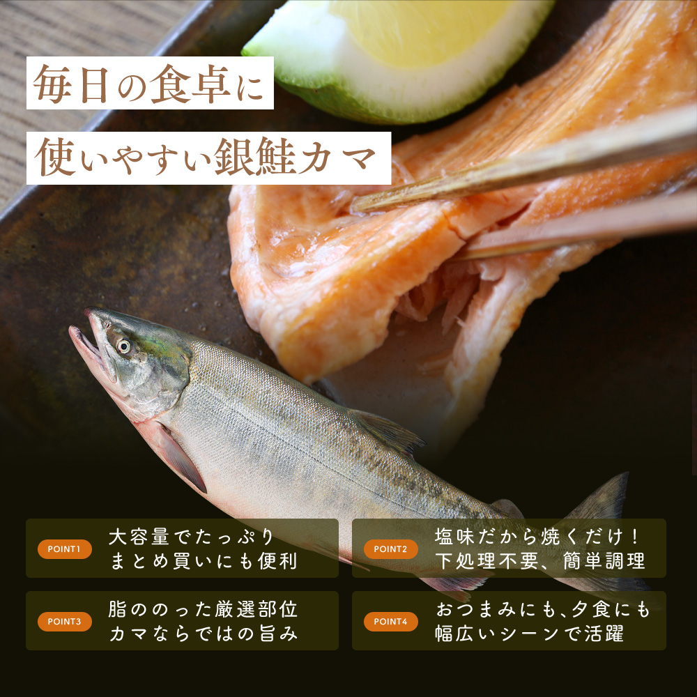 塩銀鮭カマ【端材、訳あり】3kg 福井県