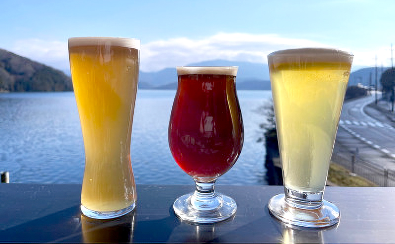 湖上館パムコ共通利用券4枚【宿泊・アクティビティ・その他】 福井県 若狭町