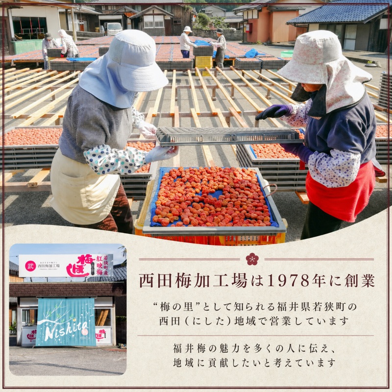 梅干し 一級品 1.2kg （簡易梱包）　ご飯のお供 肉厚 種が小さい 紅映 天然塩 鮮やか 芳醇な香り コク 紫蘇漬け 二度漬け すっぱい 国産 紅映梅 べにさし梅 福井梅 しそ梅 昔ながら 塩としそだけ 土用干し 甘くない梅干し おにぎり