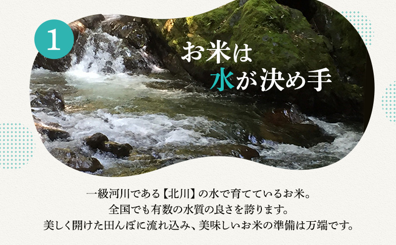 【10月お届け】若狭町コシヒカリ10kg 米 お米 こしひかり 福井県