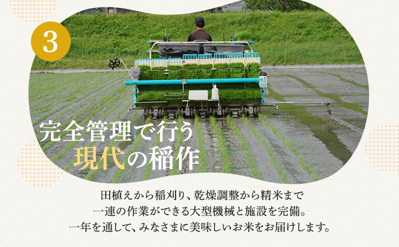 【11月お届け】若狭町コシヒカリ10kg 米 お米 こしひかり 福井県