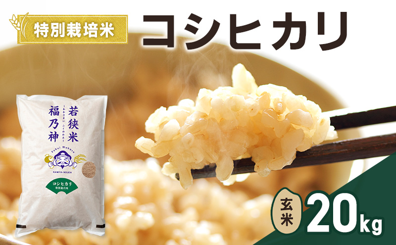 令和8年産 特別栽培米 コシヒカリ 20kg（玄米） 米 お米 こしひかり 若狭町