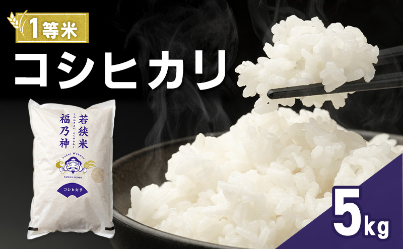 令和7年産 コシヒカリ 5kg（一等米・神谷農園） 米 お米 こしひかり 若狭町