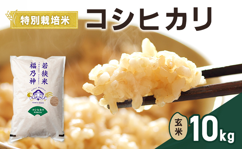 令和8年産 特別栽培米 コシヒカリ 10kg（玄米） 米 お米 こしひかり 若狭町