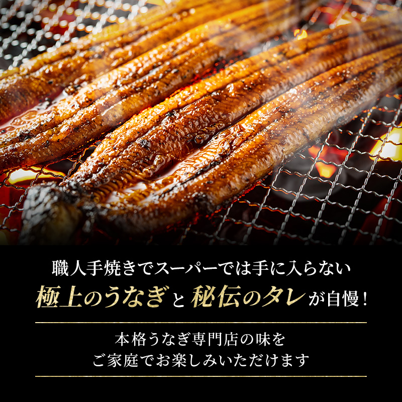特大うなぎの蒲焼き 国産(愛知県産) 約230g前後 6尾