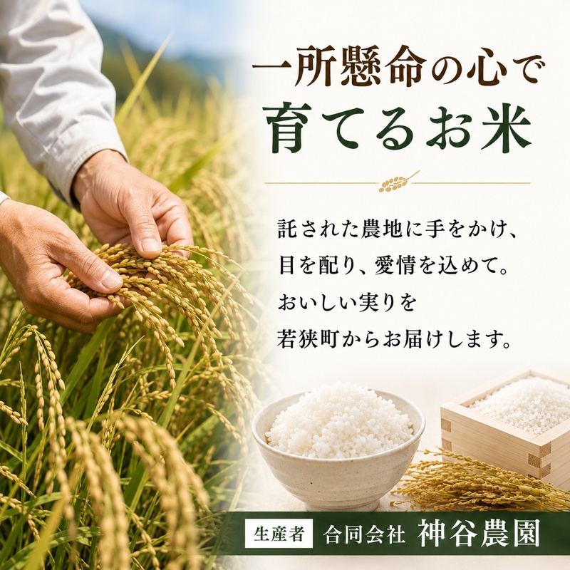 米 令和8年産 ひとめぼれ 10kg (5kg×2)  白米 精米 単一原料米 一等米 ブランド米