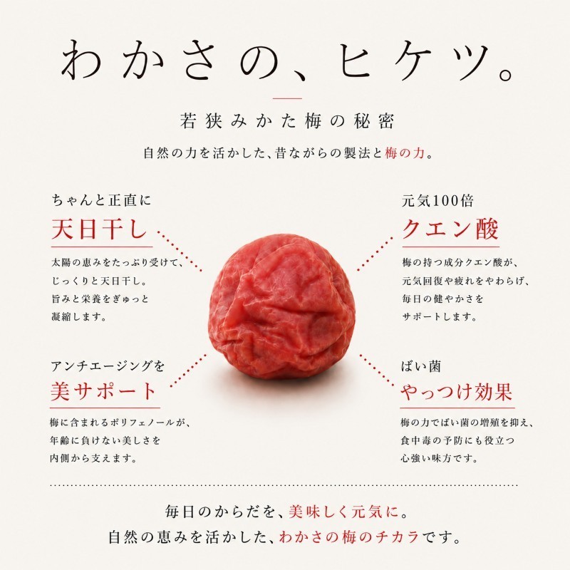 【訳あり】大入り梅干し130g×3袋 合計 390g 【保存容器付き】 発酵食品 昔ながらの梅干し すっぱい しそ漬け 塩分18％ Lサイズ 紅映梅を使用 福井県の特産 訳ありはパッケージ変更のため