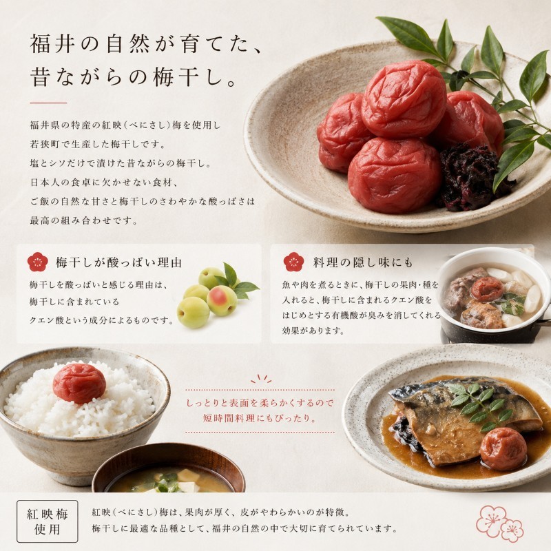 【訳あり】大入り梅干し130g×6袋 合計780g【保存容器付き】 発酵食品 昔ながらの梅干し すっぱい しそ漬け 塩分18％ Lサイズ 紅映梅を使用 福井県の特産 訳ありはパッケージ変更のため 
