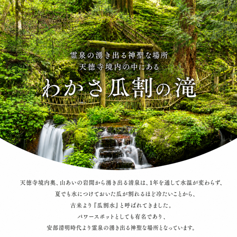 おいしい水 500ml 24本 瓜割名水 名水百選選抜総選挙おいしさ部門2位 ミネラルウォーター 美味しい水 水 ナチュラルミネラルウォーター 天然水 みず ペットボトル 2リットル 飲み物 飲料 飲料水 福井 福井県 若狭町