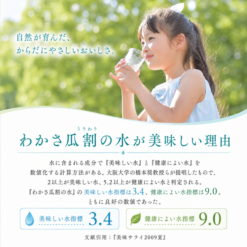 おいしい水 500ml 24本 瓜割名水 名水百選選抜総選挙おいしさ部門2位 ミネラルウォーター 美味しい水 水 ナチュラルミネラルウォーター 天然水 みず ペットボトル 2リットル 飲み物 飲料 飲料水 福井 福井県 若狭町