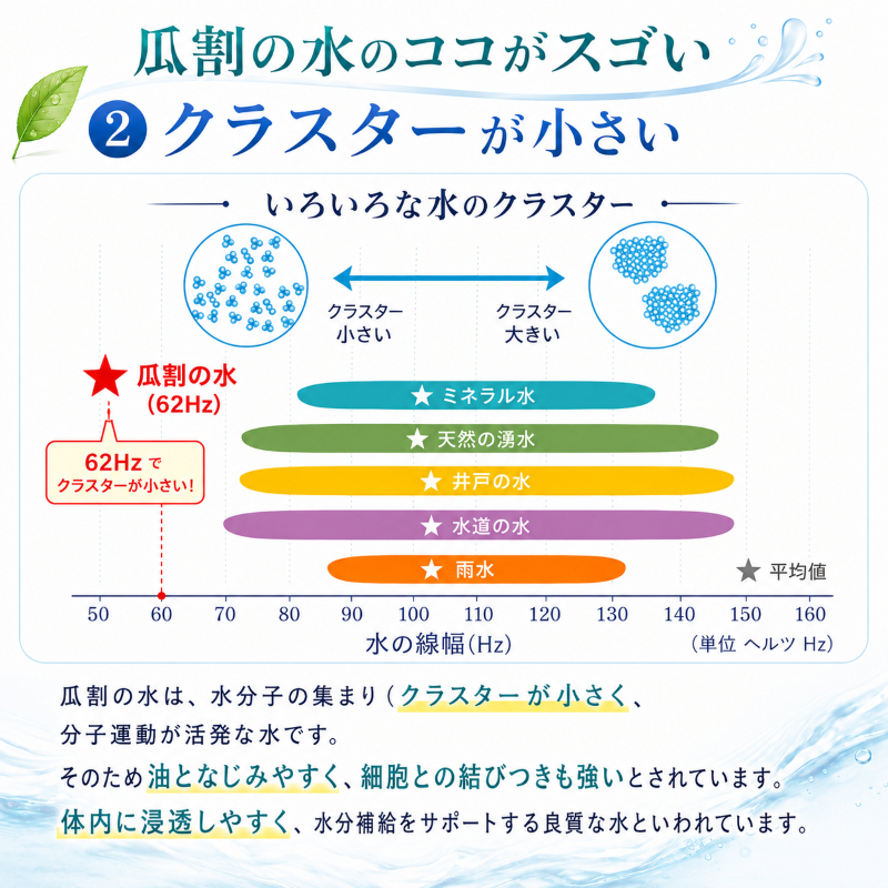 おいしい水 500ml 24本 瓜割名水 名水百選選抜総選挙おいしさ部門2位 ミネラルウォーター 美味しい水 水 ナチュラルミネラルウォーター 天然水 みず ペットボトル 2リットル 飲み物 飲料 飲料水 福井 福井県 若狭町