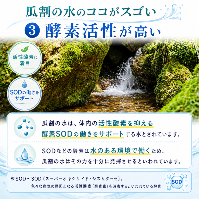 おいしい水 500ml 24本 瓜割名水 名水百選選抜総選挙おいしさ部門2位 ミネラルウォーター 美味しい水 水 ナチュラルミネラルウォーター 天然水 みず ペットボトル 2リットル 飲み物 飲料 飲料水 福井 福井県 若狭町