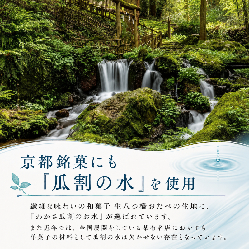 おいしい水 500ml 24本 瓜割名水 名水百選選抜総選挙おいしさ部門2位 ミネラルウォーター 美味しい水 水 ナチュラルミネラルウォーター 天然水 みず ペットボトル 2リットル 飲み物 飲料 飲料水 福井 福井県 若狭町