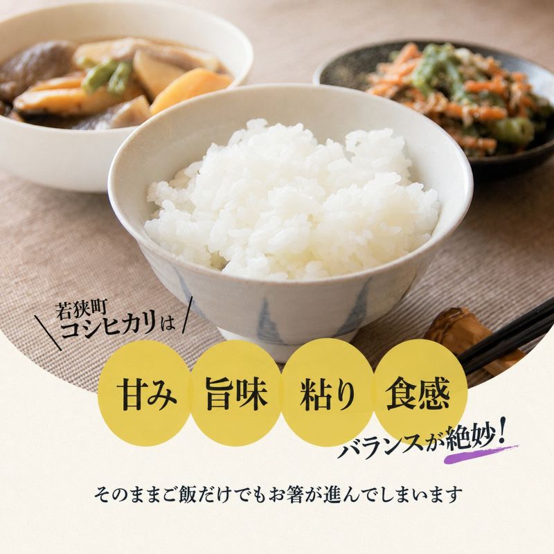米 令和8年産 コシヒカリ 5kg 白米 精米 単一原料米 一等米 ブランド米 5キロ