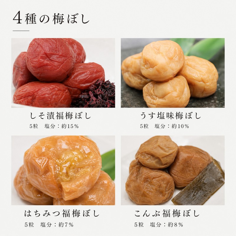 禅風味4種 梅干／ウメボシ／紅映梅 うめぼし 