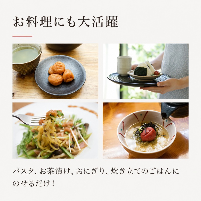 禅風味4種 梅干／ウメボシ／紅映梅 うめぼし 