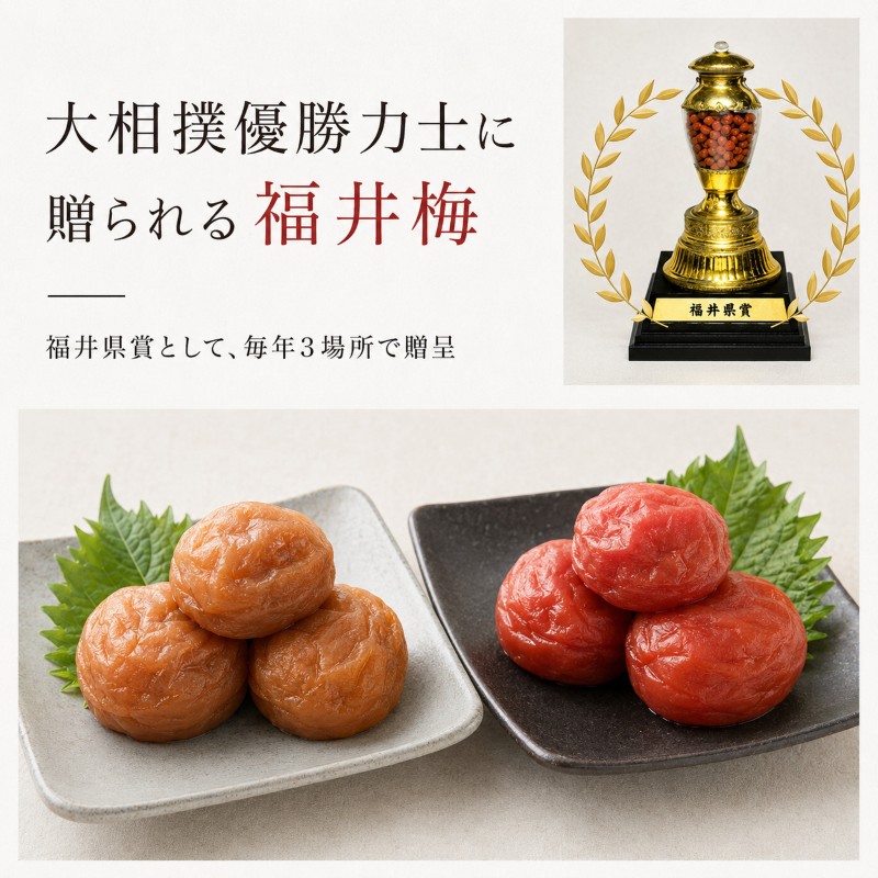 禅風味4種 梅干／ウメボシ／紅映梅 うめぼし 