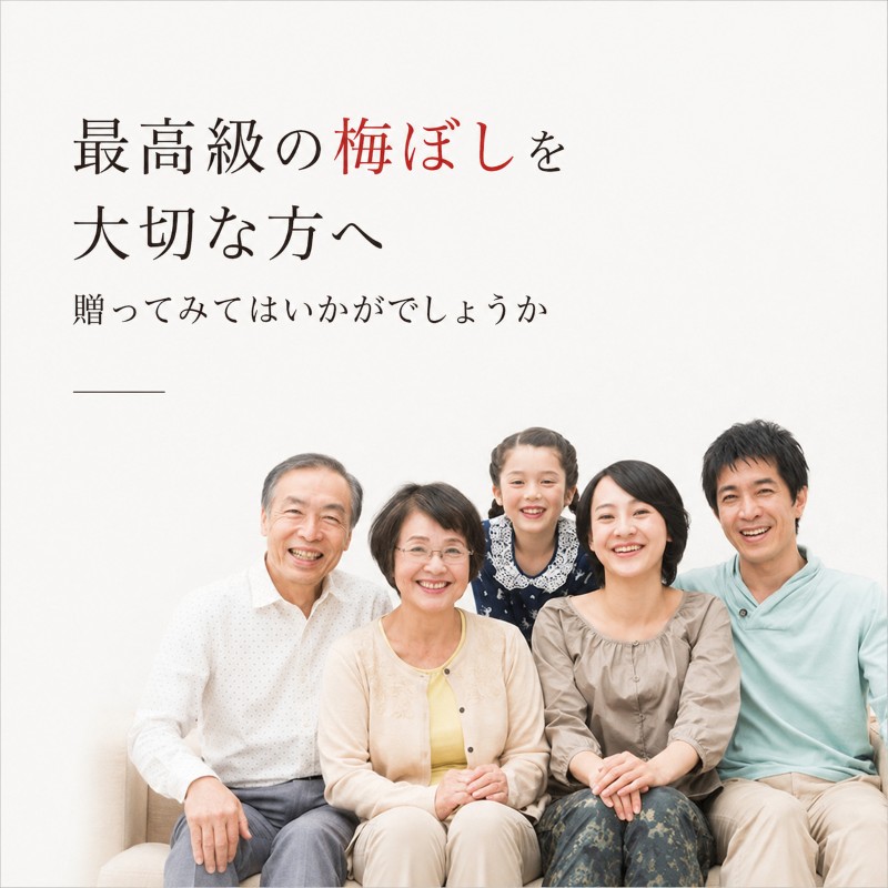 禅風味4種 梅干／ウメボシ／紅映梅 うめぼし 