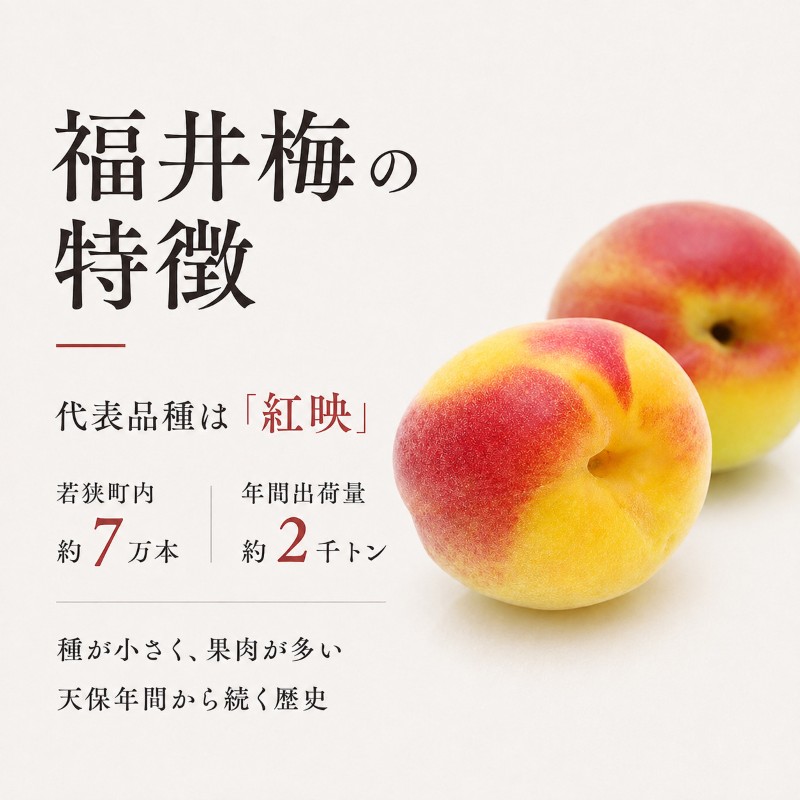 梅ごのみ(大) うす塩味・しそ漬梅ぼし約960gセット[高島屋選定品］ 梅干し 