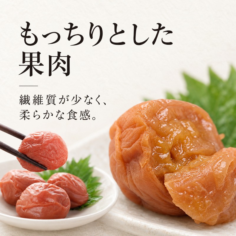 梅ごのみ(大) うす塩味・しそ漬梅ぼし約960gセット[高島屋選定品］ 梅干し 