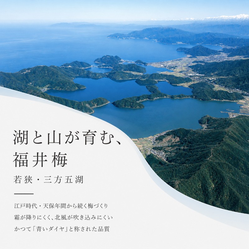 梅ごのみ(大) うす塩味・しそ漬梅ぼし約960gセット[高島屋選定品］ 梅干し 
