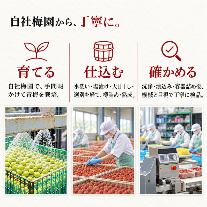 梅ごのみ(大) うす塩味・しそ漬梅ぼし約960gセット[高島屋選定品］ 梅干し 