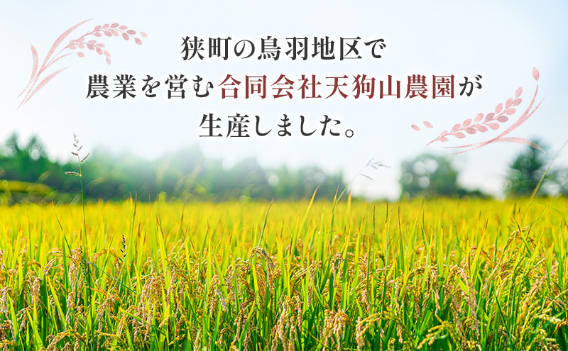 米 こしひかり2キロ(令和8年産) 若狭・天狗山農園 お米 こめ コメ 精米 ご飯 ごはん コシヒカリ 福井県 若狭町