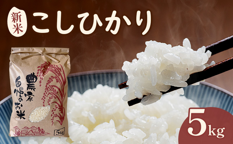 米 こしひかり5キロ(令和8年産) 若狭・天狗山農園 お米 こめ コメ 精米 ご飯 ごはん コシヒカリ 福井県 若狭町
