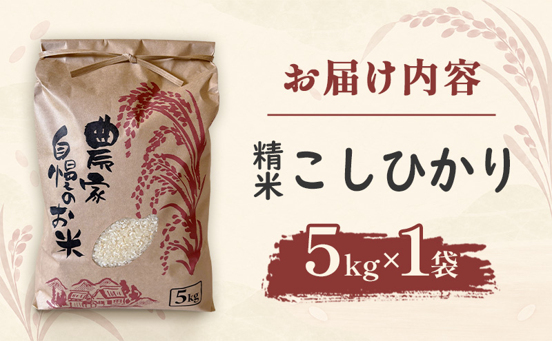 米 こしひかり5キロ(令和8年産) 若狭・天狗山農園 お米 こめ コメ 精米 ご飯 ごはん コシヒカリ 福井県 若狭町