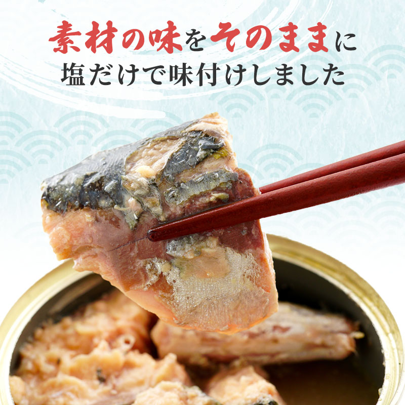 サバ缶 水煮 12缶 セット 詰め合わせ 若狭の鯖缶 鯖缶 さば缶 さば サバ 鯖 缶詰 缶詰め 魚 魚介 魚介類 海鮮 水煮缶 福井 福井県 若狭町