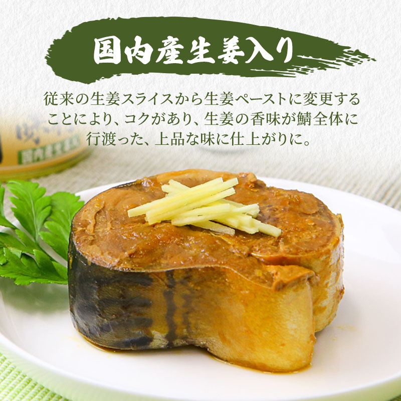 サバ缶 食べ比べセット 24缶 セット 詰め合わせ 若狭の鯖缶 3種 しょうゆ 生姜入り 唐辛子入り 鯖缶 さば缶 さば サバ 鯖 缶詰 缶詰め 魚 魚介 魚介類 海鮮 食べ比べ 福井 福井県 若狭町