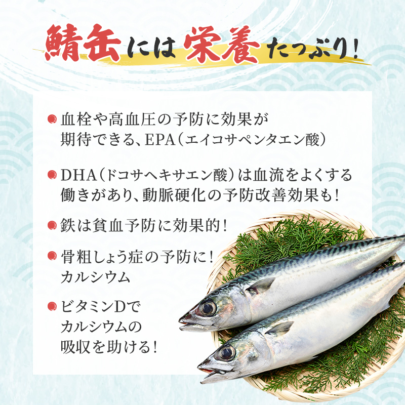 サバ缶 若狭の鯖缶 3種 食べ比べ 6缶 セット しょうゆ 生姜入り 唐辛子入り 鯖缶 さば サバ 鯖 缶 缶詰 魚 魚介 魚介類 海鮮 福井 若狭町