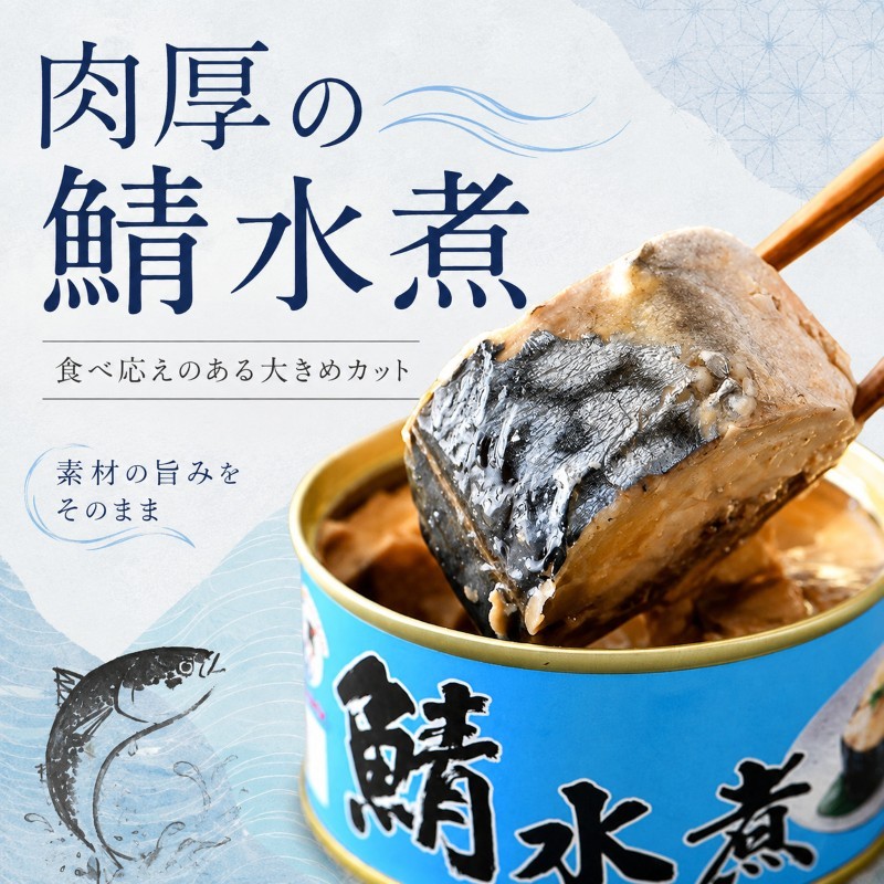 【ふるさと納税】サバ缶 水煮 12缶セット 若狭の鯖缶 さば缶 鯖缶 サバ 鯖 缶詰 水煮缶 常温保存 備蓄 まとめ買い おかず 惣菜 ごはんのお供 福井 福井県　若狭町