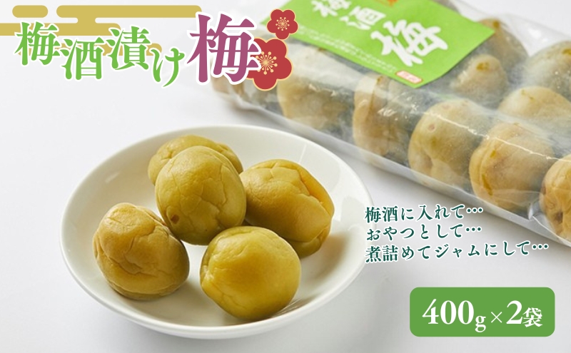 梅酒の梅 2袋セット(梅酒に入れて、おやつに、おつまみに、煮詰めてジャムに) 加工食品 