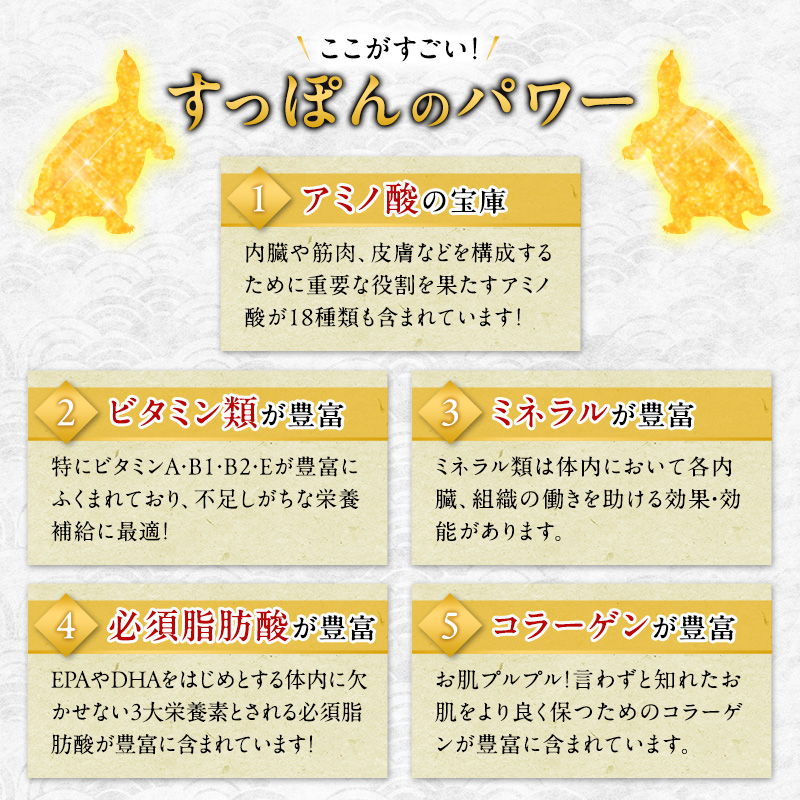 鍋セット 若狭すっぽん鍋セット 1～2人前 食べ方のしおり付 すっぽん 鍋 すっぽん鍋 セット 1人前 2人前 福井 若狭町