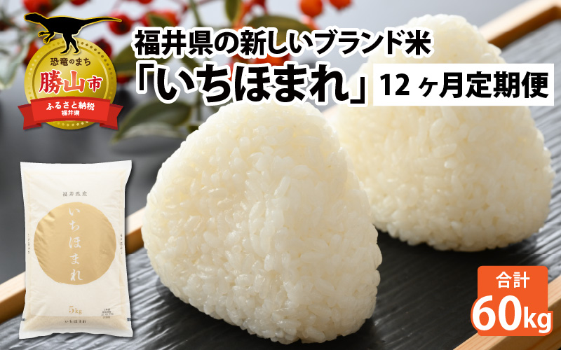 【12ヶ月連続定期便】令和5年産 福井県の新しいブランド米 いちほまれ5kg ×1袋（5kg × 12ヶ月） | 福井県産 国産 米 お米 おこめ おコメ 5キロ × 12ヶ月