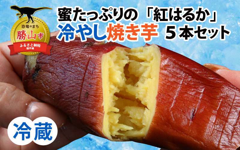 蜜たっぷりの紅はるかを使った　冷やし焼き芋 5本セット（約1kg～1.25kg） | さつまいも サツマイモ スイーツ スウィーツ デザート おやつ 冷蔵 [A-069002]