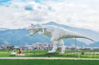 恐竜を核にした観光産業の活性化