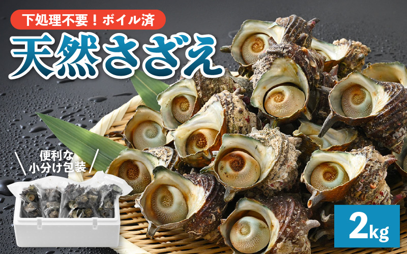 【先行予約】 天然 さざえ ボイル済 26～30個入 2kg（500g × 4袋）産地直送でお届け！ 【2025年6月10日～9月30日の期間に順次発送】 【越前町産 栄螺 サザエ 冷凍 小分け 海鮮 BBQ バーベキュー】 [e14-a011] 