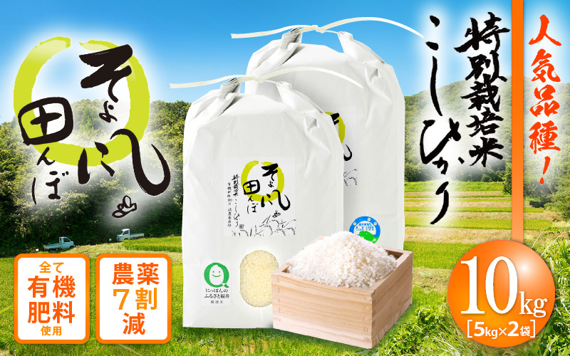 令和6年産 米 特別栽培米 コシヒカリ 10kg 福井県産【こしひかり 10キロ 精米 人気品種 有機肥料100% 減農薬栽培】 [e10-b002]