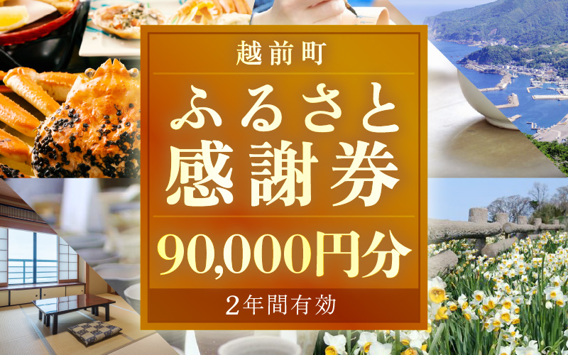 越前町ふるさと感謝券（90,000円分）【宿泊 レジャー アウトドア BBQ 体験型 宿泊券 福井県】 [e05-p001]