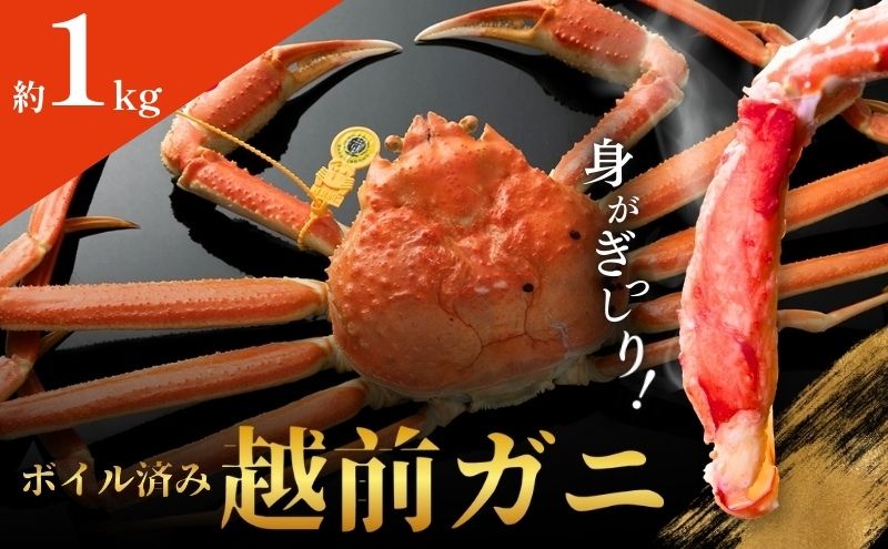 越前ガニ ボイル 約1kg 高島屋 選定品 ズワイガニ かに 海鮮 海産物 海の幸 魚介 魚介類 越前かに 越前カニ 越前がに ずわいがに ずわい蟹 カニ 蟹 ボイルガニ 冷蔵 冷蔵配送 福井県 福井 若狭町 若狭