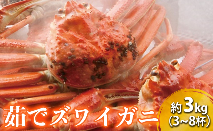 茹で ズワイガニ 約3kg (3～8杯) セット 詰め合わせ 脚折れ含む カニ 蟹 かに 茹でカニ ずわい蟹 ずわいがに カニセット 魚介 魚介類 海鮮 海鮮セット 福井 福井県 若狭町