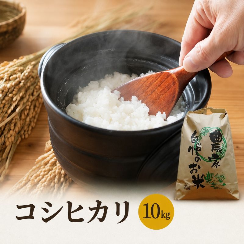 米 令和8年産 特A コシヒカリ 10kg 白米 精米 単一原料米 ブランド米 高評価